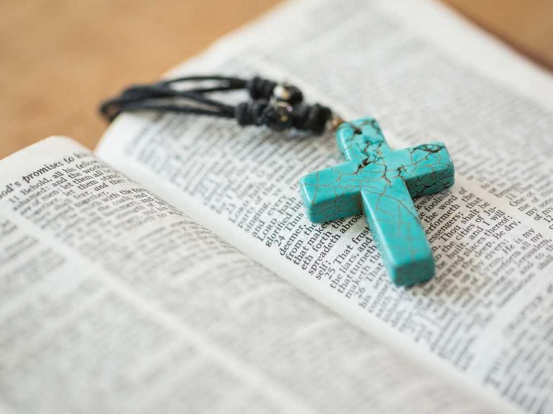 bible verses about family bible verses about family