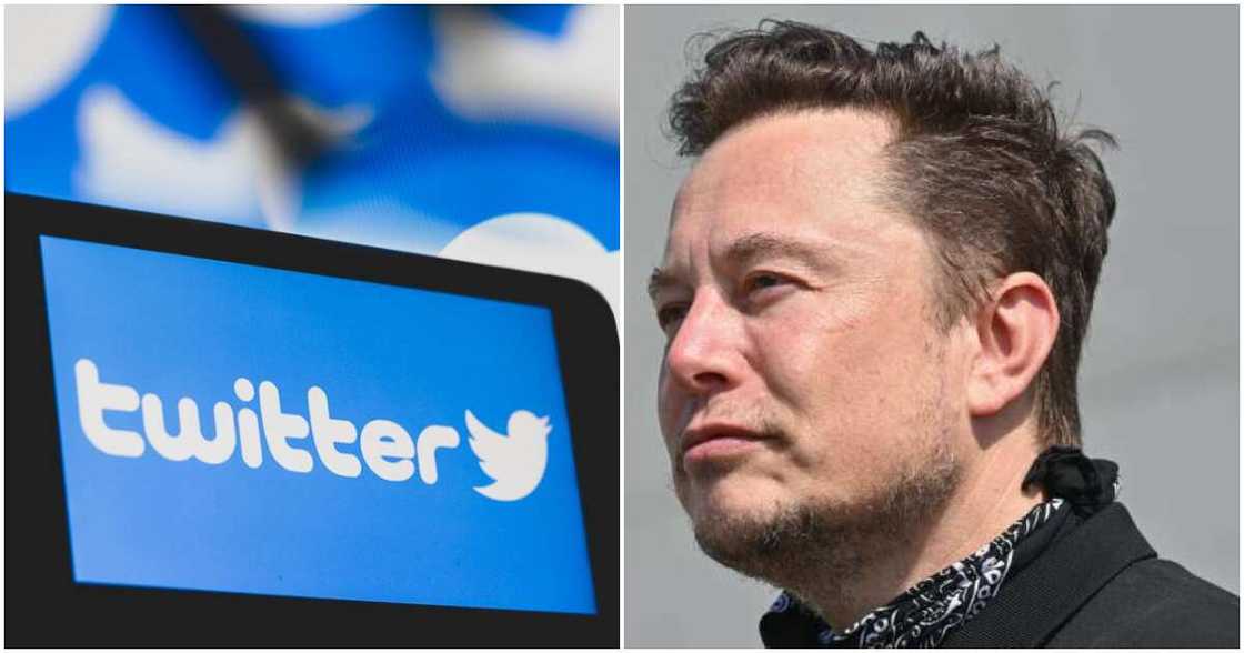Popular microblogging platform, Twitter, fake accounts, Elon Musk Popular microblogging platform, Twitter, fake accounts, Elon Musk