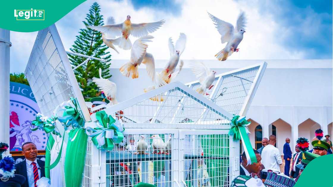 Yadda aka yi bikin ranar 'yanci a fadar shugaban kasa a 2024. Hoto: Bayo Onanuga