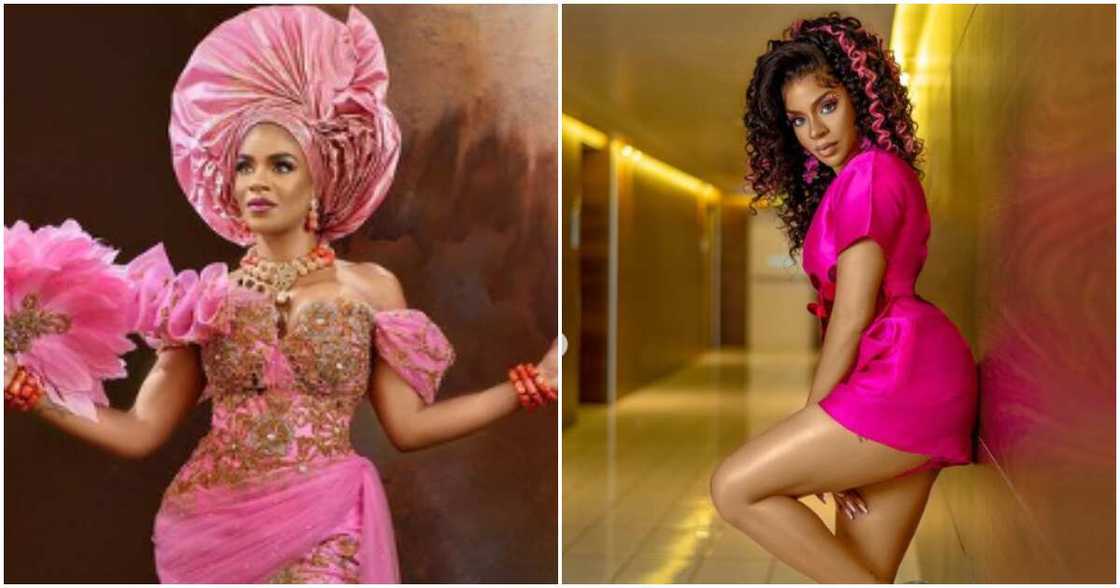 BBNaija All Stars talks about winner of N120M BBNaija All Stars talks about winner of N120M