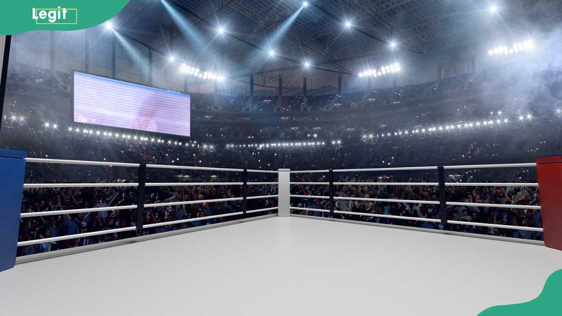 3-D boxing ring 3-D boxing ring