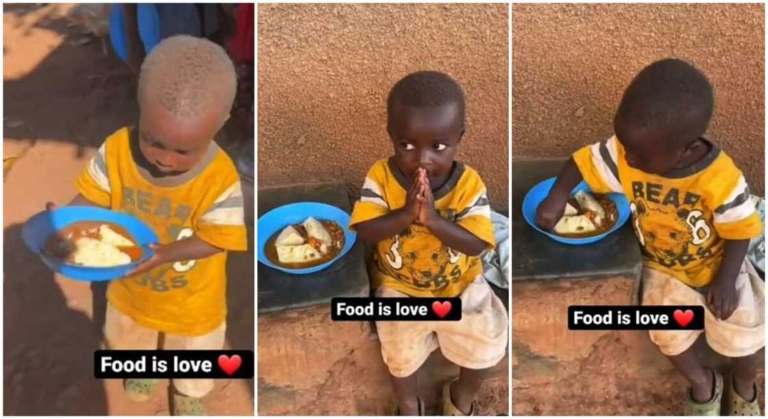 Little black boy praying before eating. Little black boy praying before eating.