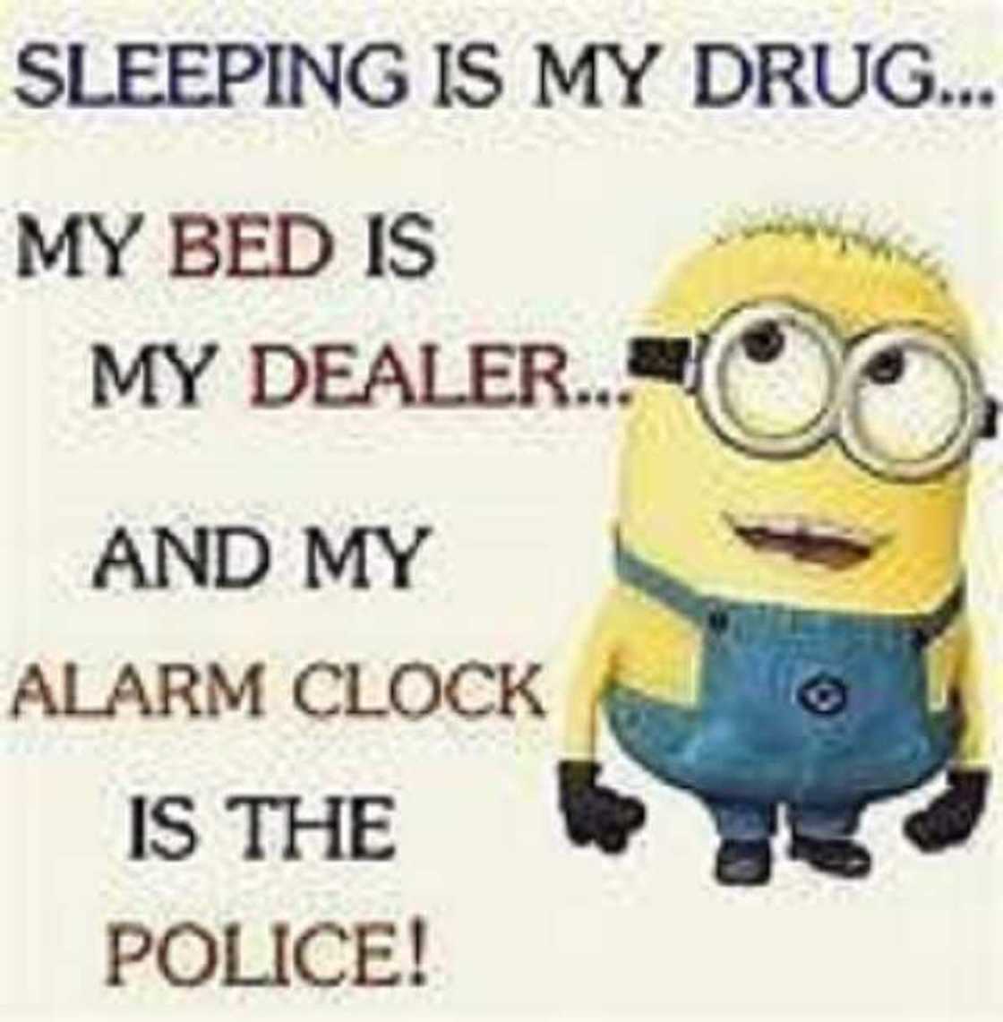 despicable me meme despicable me meme