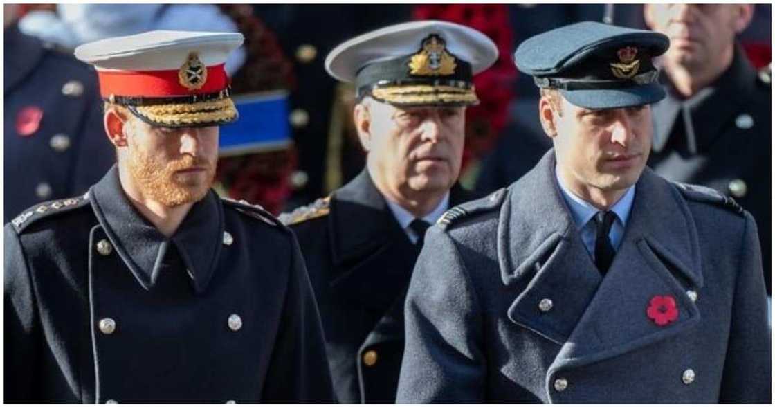 Prince Philip: Queen Elizabeth Bans Military Uniforms for Royals During Funeral to Accommodate Harry, Andrew Prince Philip: Queen Elizabeth Bans Military Uniforms for Royals During Funeral to Accommodate Harry, Andrew