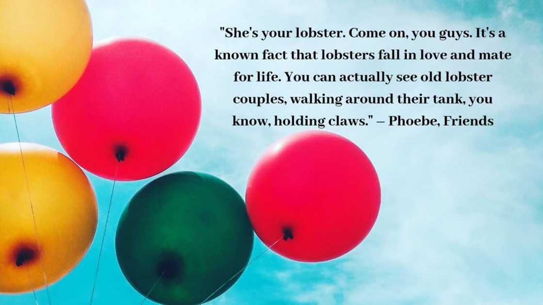 Funny quotes and sayings Funny quotes and sayings