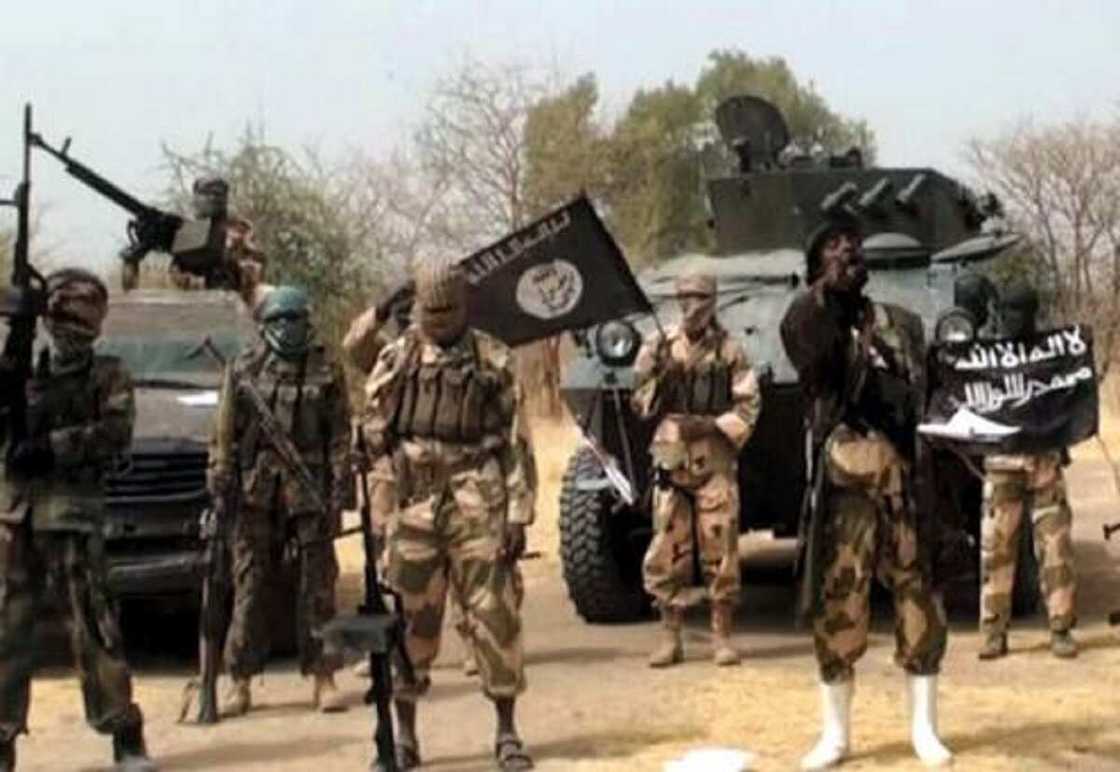 Boko Haram ta taba zaben kwamishina a Borno, dan jarida ya tona asirin tushen ta'addanci