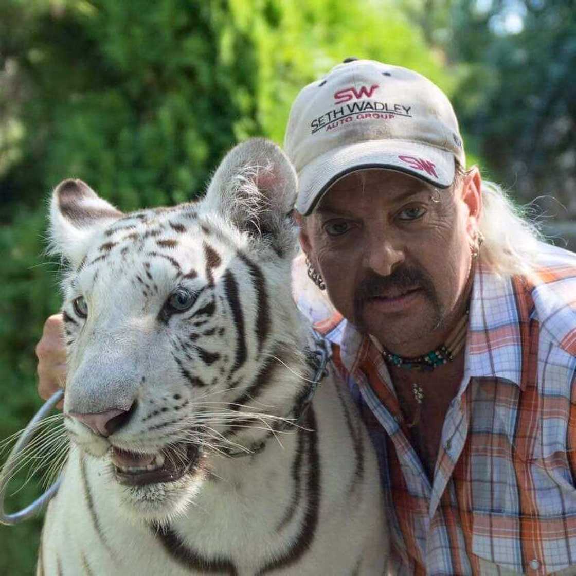 Joe Exotic career