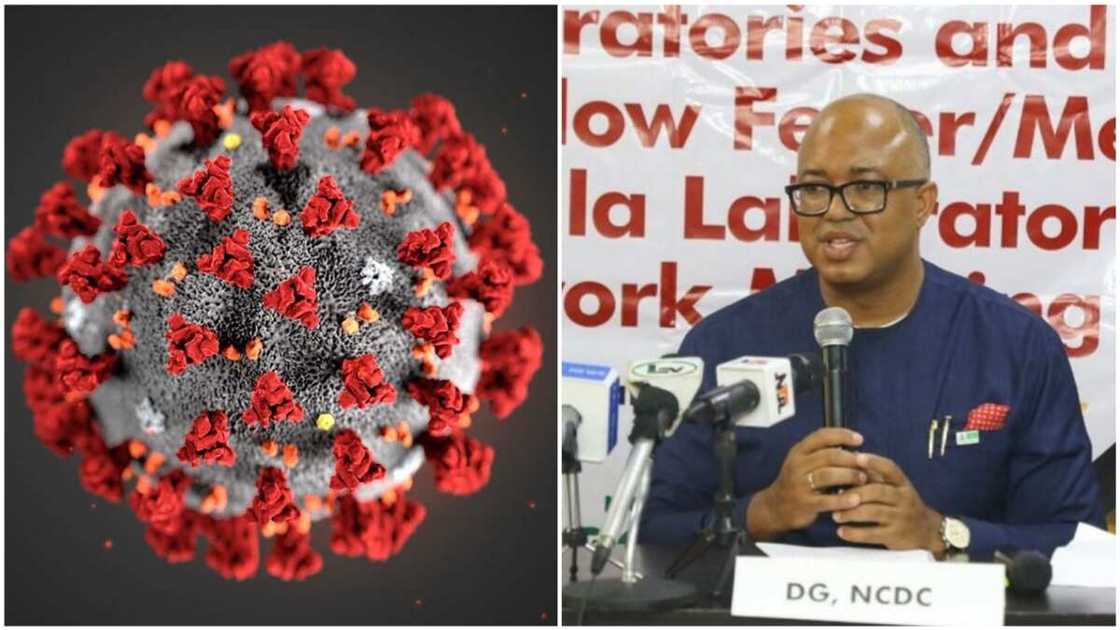 Za mu fara yiwa duk mai son shiga Kano gwajin Korona, Ganduje Za mu fara yiwa duk mai son shiga Kano gwajin Korona, Ganduje