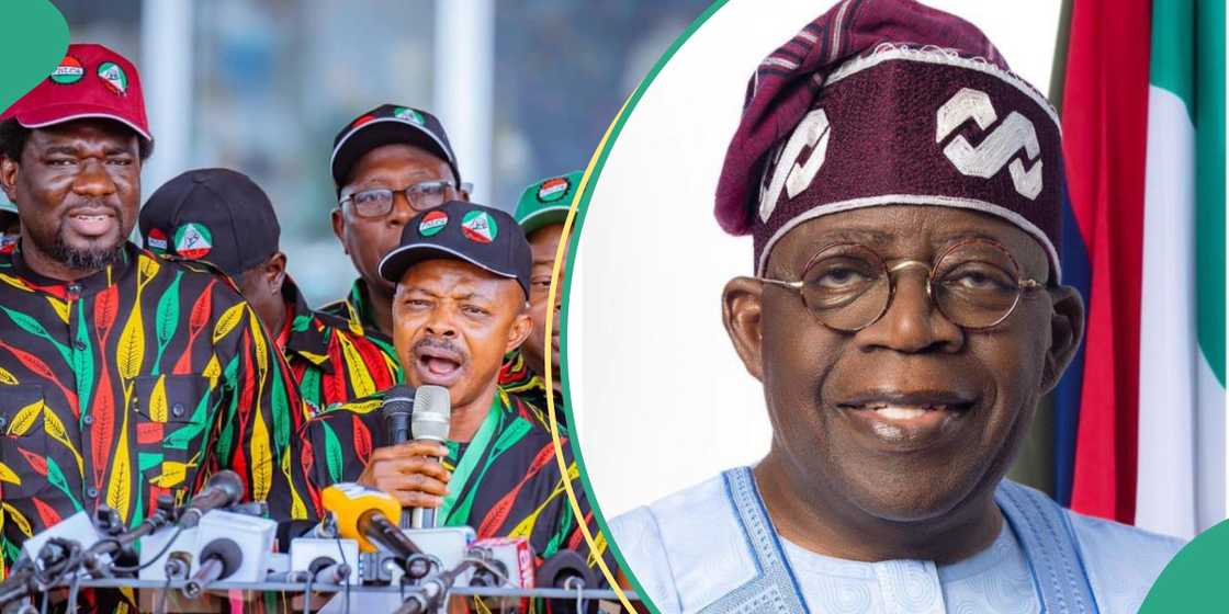 Fuel Price: NLC blasts Presidential aide for denying agreement with Tinubu Fuel Price: NLC blasts Presidential aide for denying agreement with Tinubu