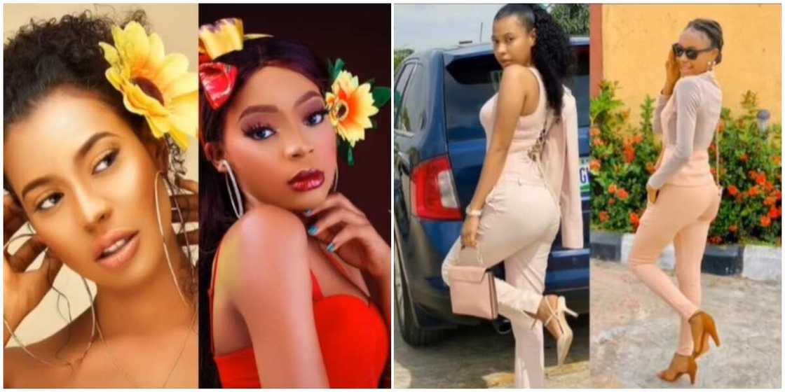 Photos of BBNaija's Nini alongside photos of her fan.