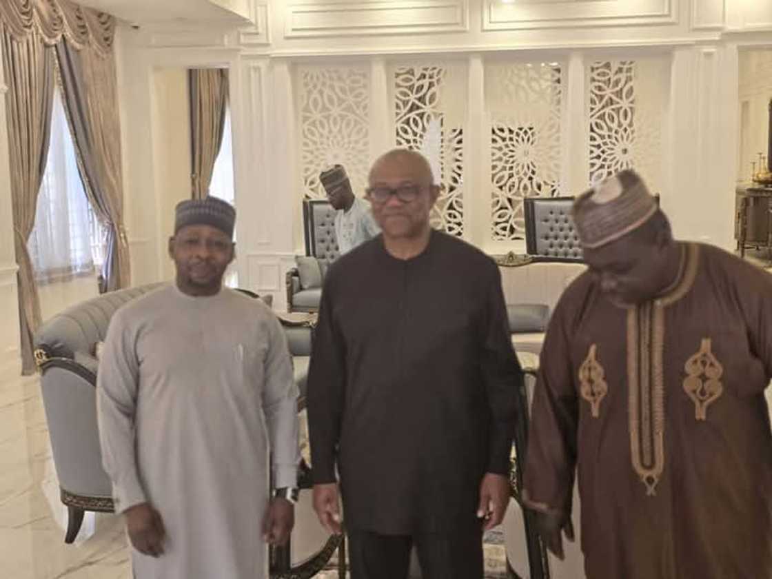 Peter Obi ya gana da jigon APC Peter Obi ya gana da jigon APC