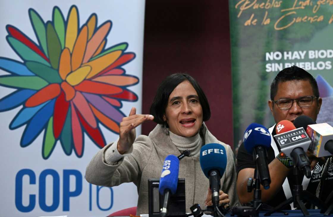 The COP16 isn't expected to break new ground but is more a stocktake of progress since the last summit