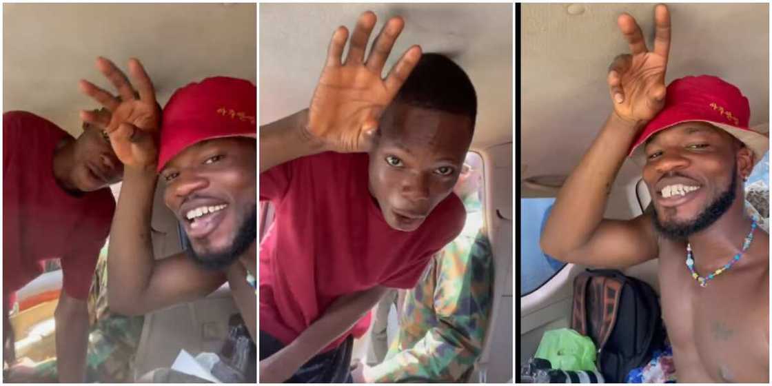 Broda Shaggi and Mini Shaggi Broda Shaggi and Mini Shaggi