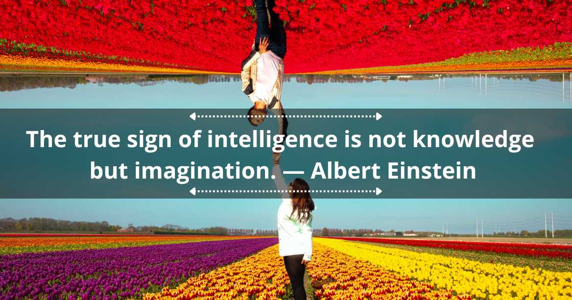 Quotes on creativity and imagination