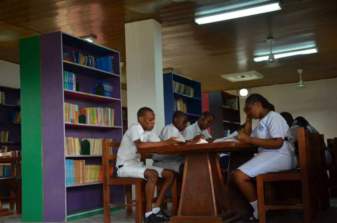 Delta Careers College: Shaping Futures and Fostering Excellence in Nigerian Education Delta Careers College: Shaping Futures and Fostering Excellence in Nigerian Education