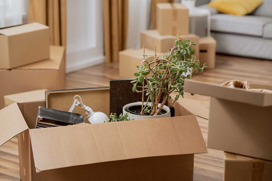 Boxes in a room during moving in Boxes in a room during moving in