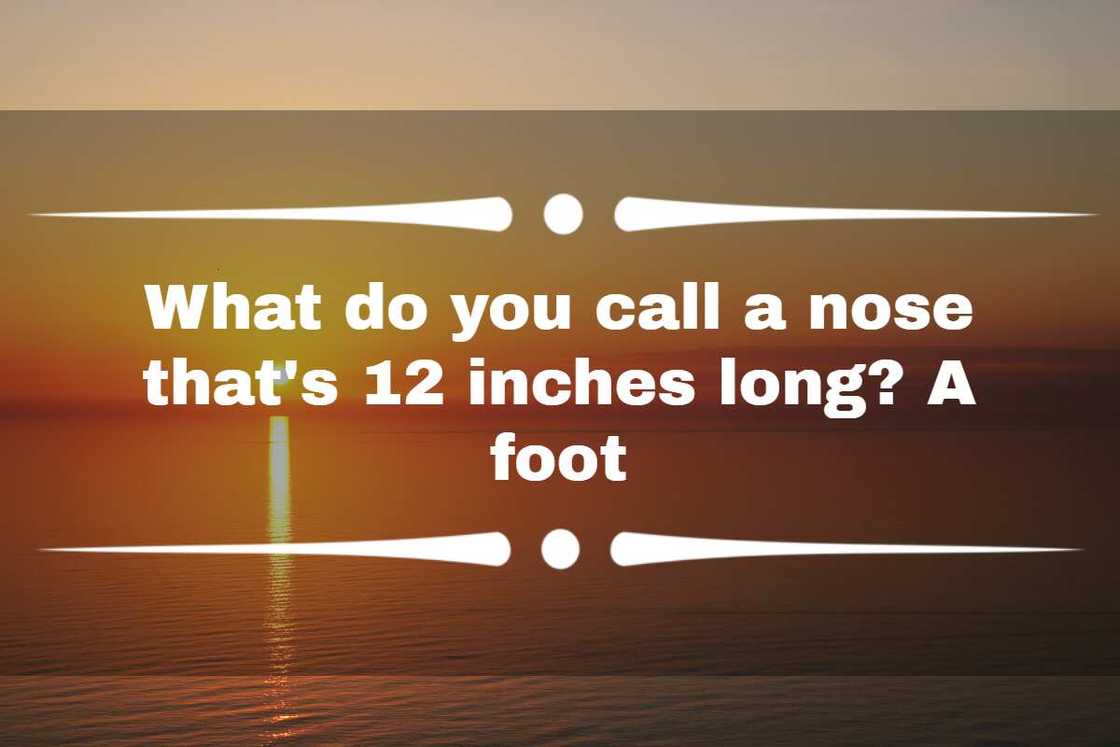 fun riddles for adults