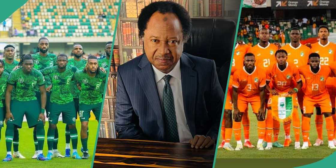 AFCON: Shehu Sani reveals what he will do If Nigeria's Super Eagles lose to Ivory Coast AFCON: Shehu Sani reveals what he will do If Nigeria's Super Eagles lose to Ivory Coast