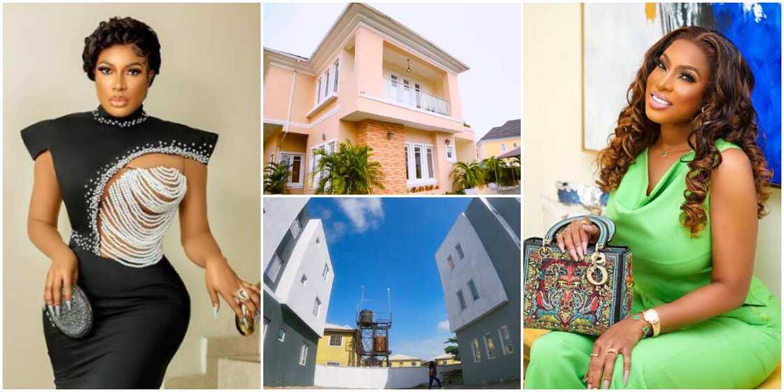 Chika Ike, Chika Ike's real estate company Flipscript Homes, Chika Ike