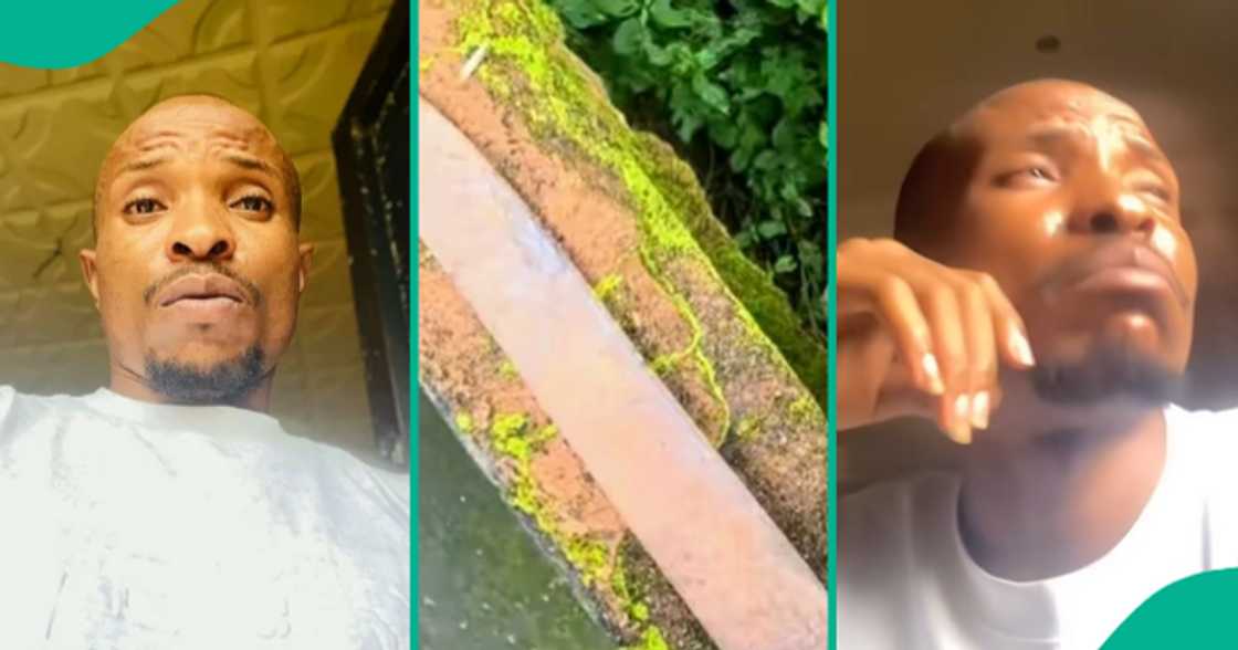 Man displays what was hidden behind his fence.