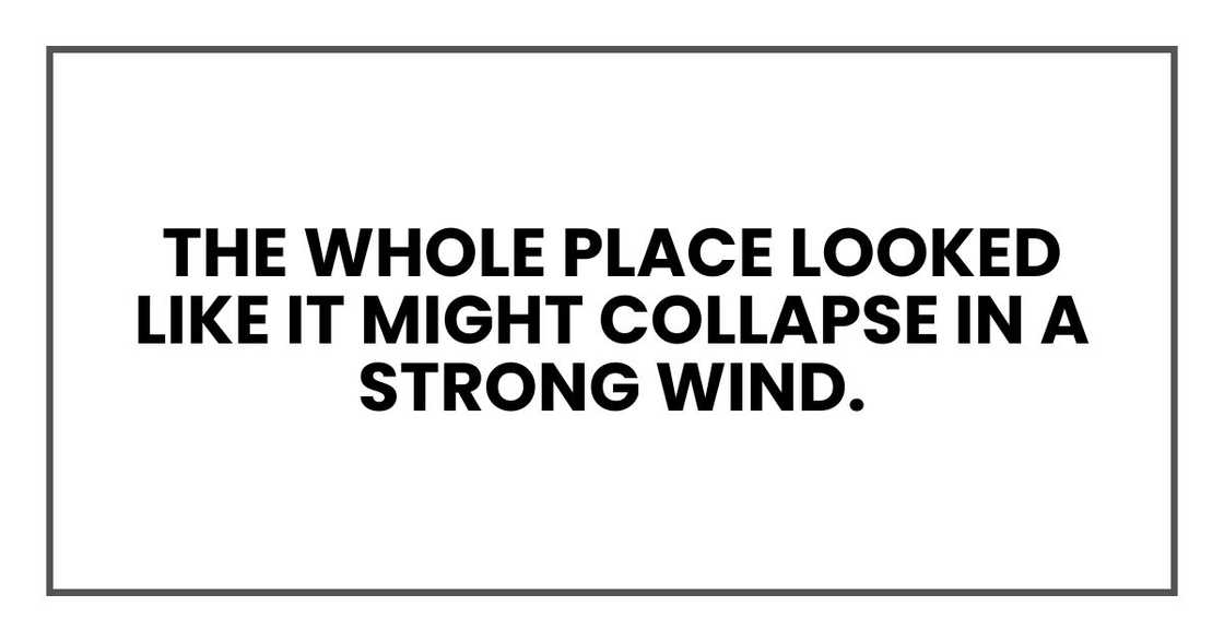 the whole place looked like it might collapse in a strong wind. the whole place looked like it might collapse in a strong wind.
