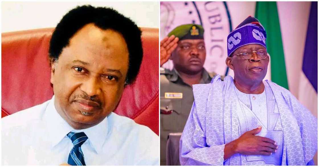 Liabilities in President Tinubu’s cabinet/ Assets in President Tinubu’s Cabinet Liabilities in President Tinubu’s cabinet/ Assets in President Tinubu’s Cabinet