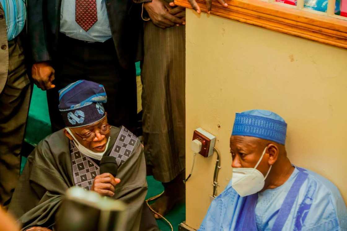 Kano Governor Ganduje Declares Support for Tinubu's Presidency