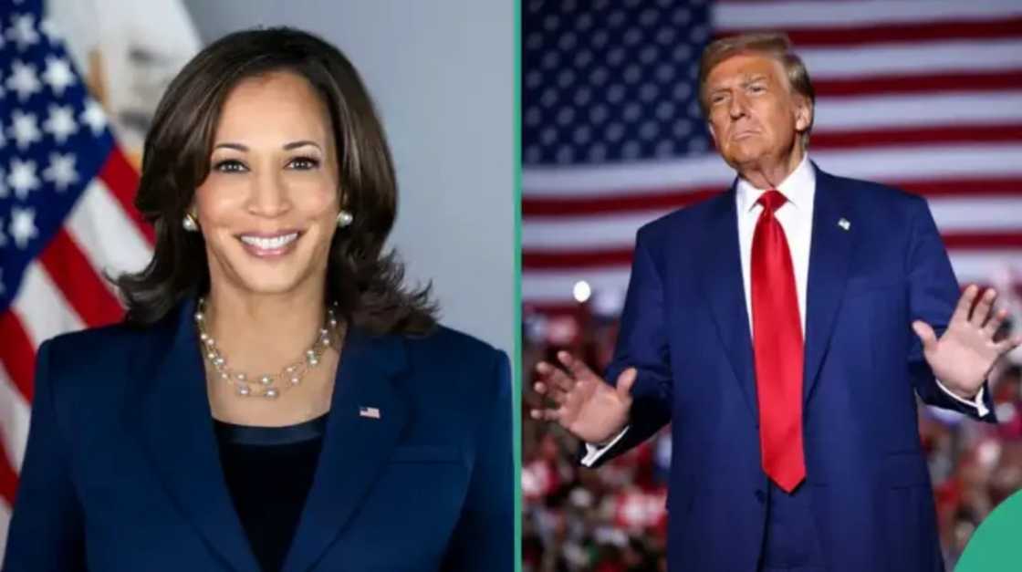 See moment first results are announced in US 2024 presidential election See moment first results are announced in US 2024 presidential election