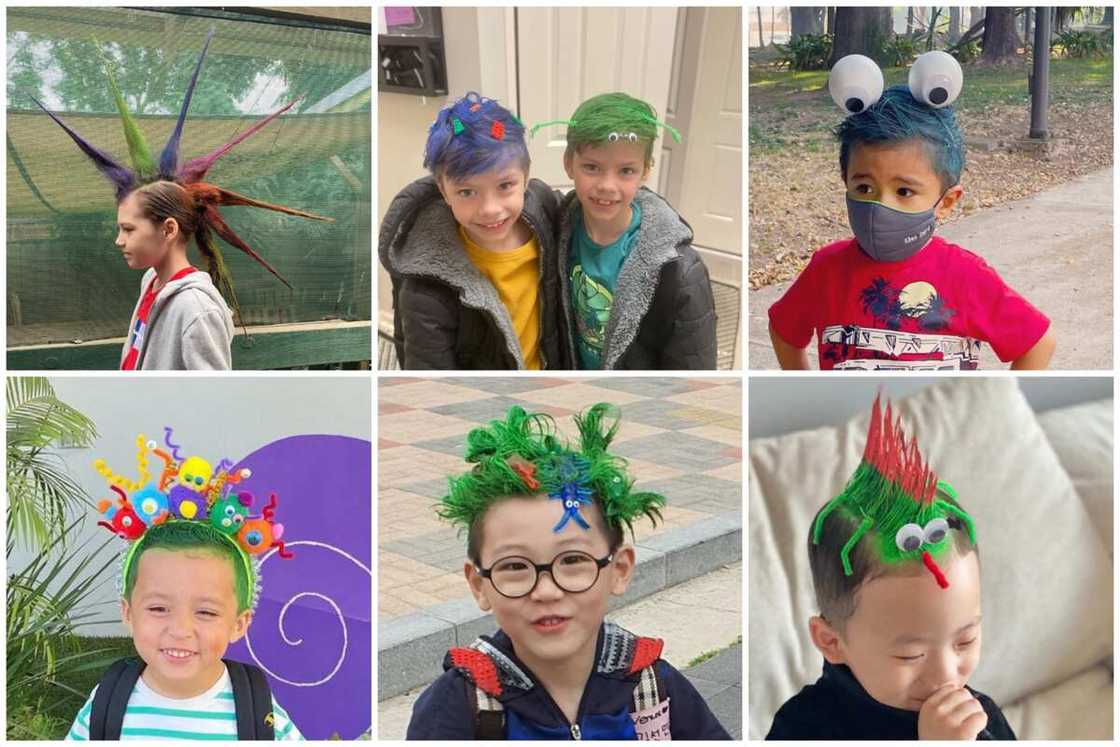 Crazy hair day ideas for boys