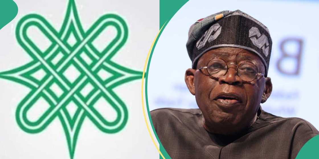 ACF speaks on current hardship in Tinubu's govt