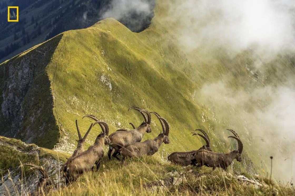 Hotunan da suka lashe gasar kyawawan hotuna ta duniya a wannan shekarar Hotunan da suka lashe gasar kyawawan hotuna ta duniya a wannan shekarar