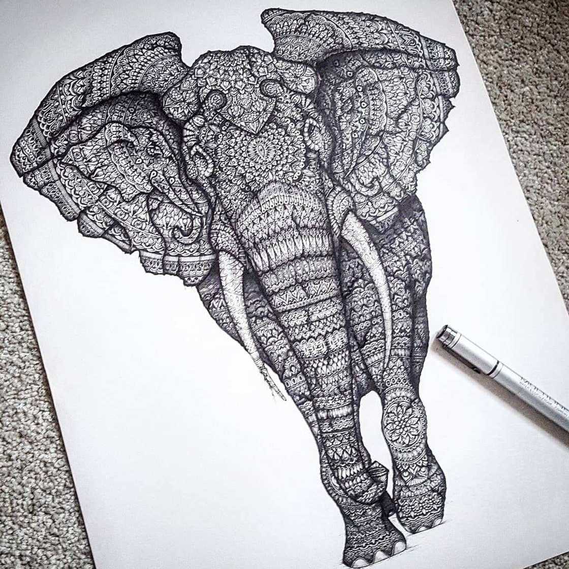 Elephant tattoo mandala Elephant tattoo mandala