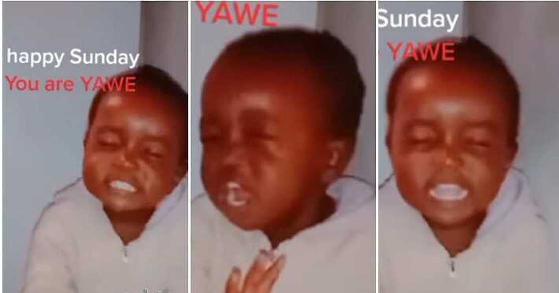 Little boy sings, you are yahweh Little boy sings, you are yahweh