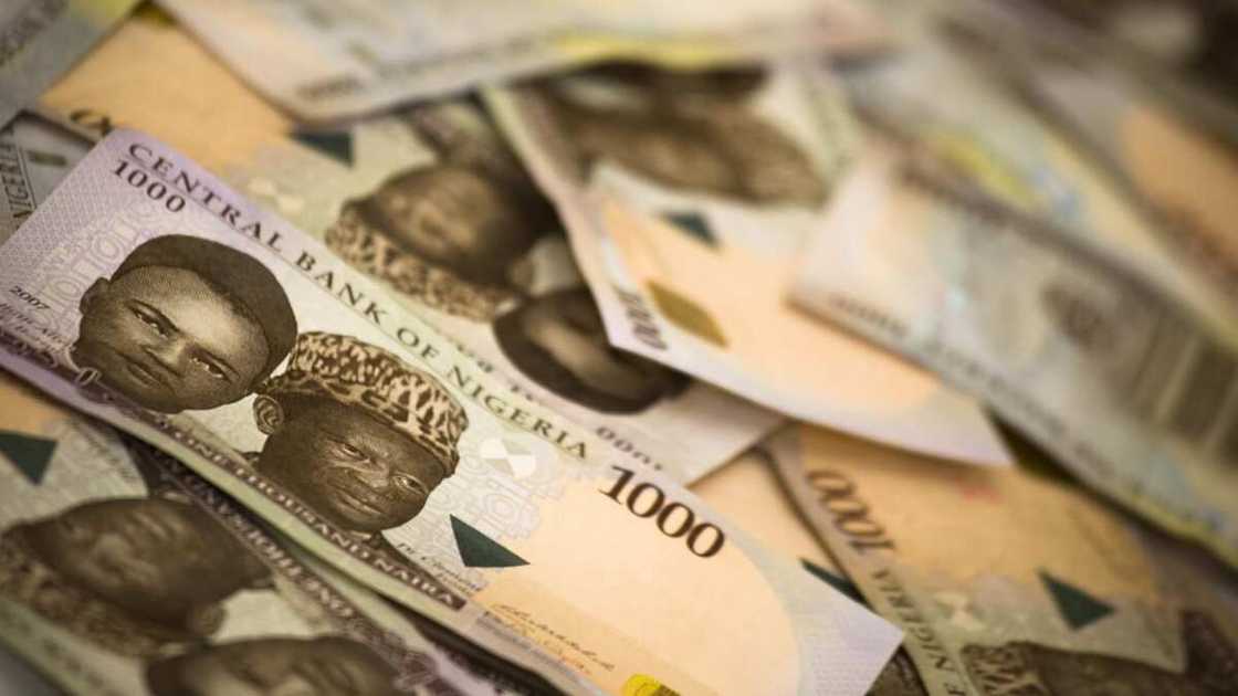 Money from palm oil production Money from palm oil production