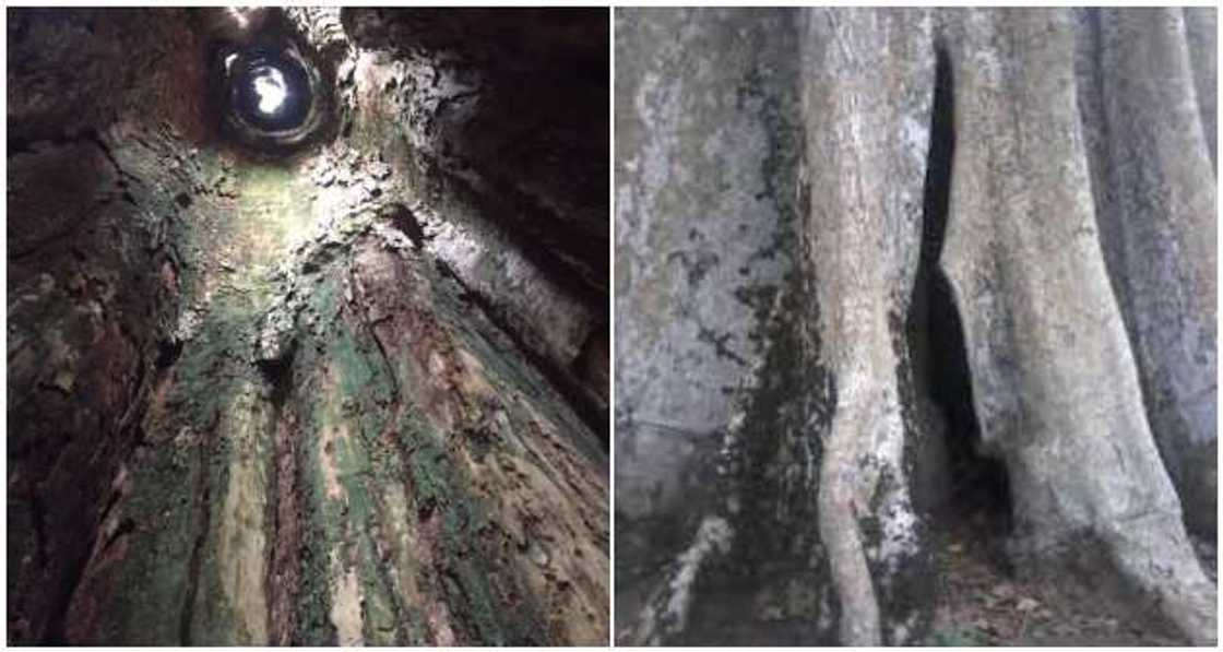 Amakama Wooden Cave Amakama Wooden Cave