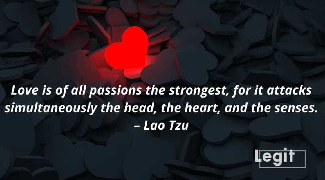 awesome quotes awesome quotes