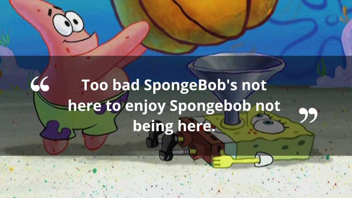 50+ classic SpongeBob quotes for every occasion imaginable - Legit.ng