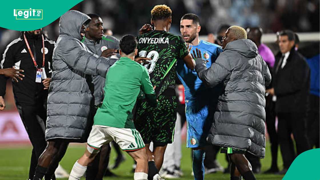 Nigeria, Algeria, AFCON, CAF, Luka Zidane Nigeria, Algeria, AFCON, CAF, Luka Zidane