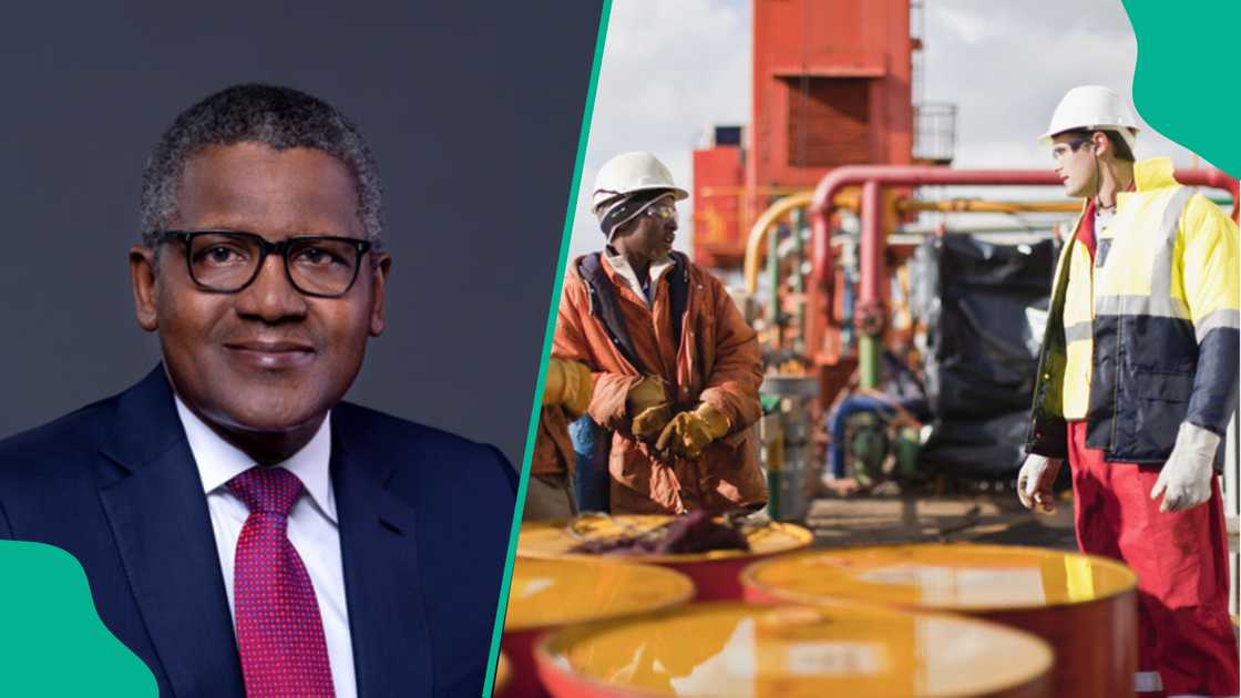 Port Harcourt, Warri refineries fail to deliver months after repair Port Harcourt, Warri refineries fail to deliver months after repair