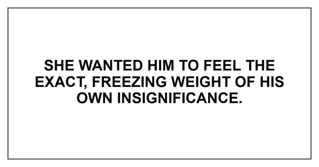 She wanted him to feel the exact, freezing weight of his own insignificance.
