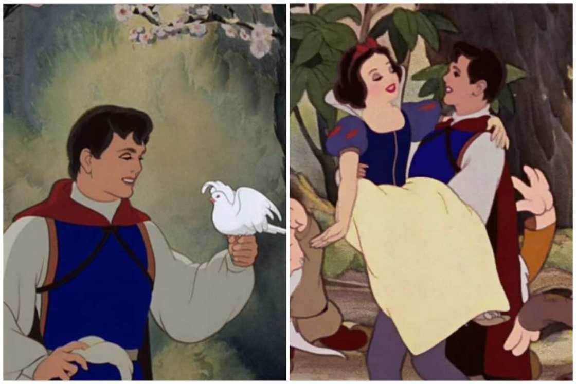Prince of Disney Prince of Disney