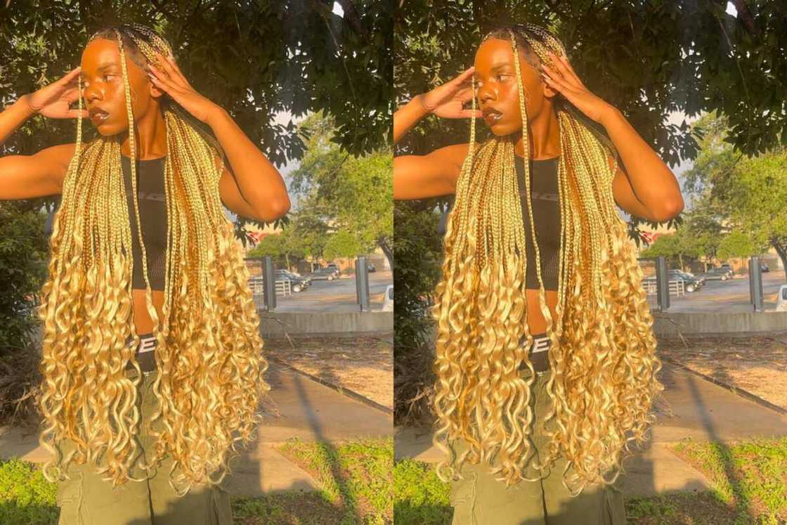 pictures of knotless braids hairstyles pictures of knotless braids hairstyles