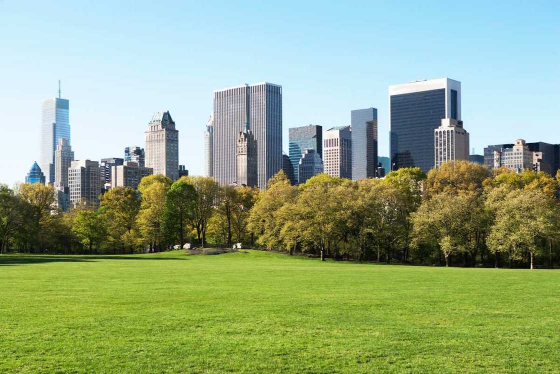 Central Park Central Park