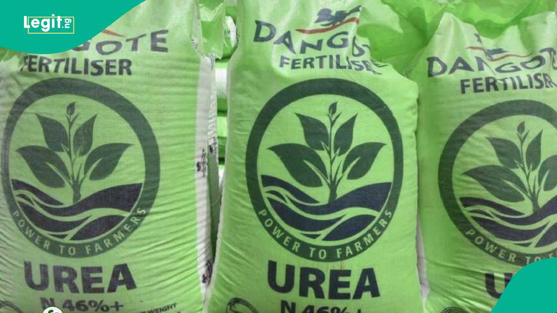 Dangote Moves to Build Largest Fertilizer Factory Dangote Moves to Build Largest Fertilizer Factory