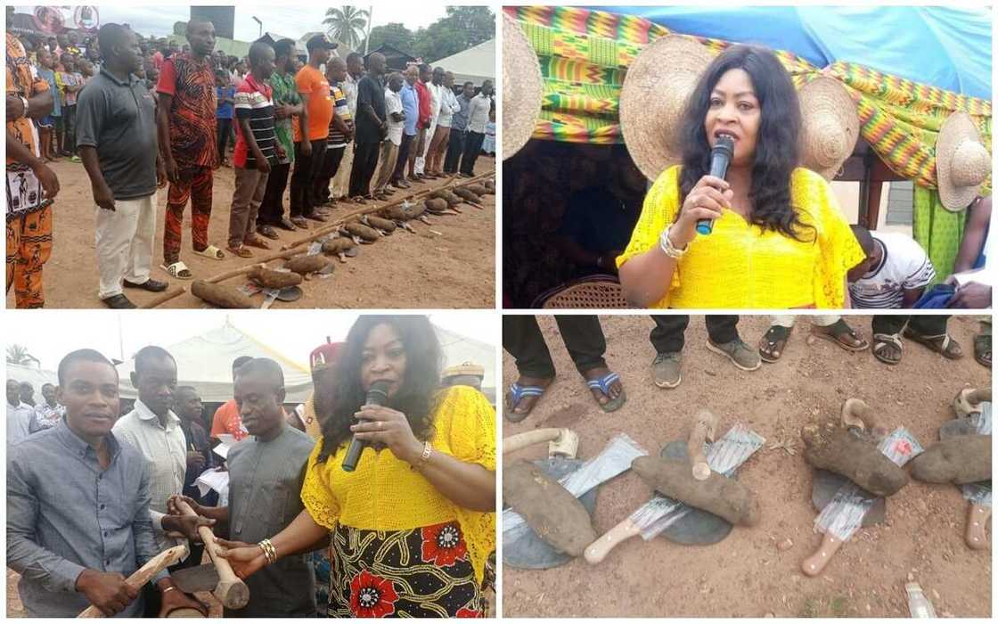 Hotunan doya ɗaya kacal da fatanya da shugaban ƙaramar hukuma ta rabawa manoma matsayin tallafi a Cross Rivers Hotunan doya ɗaya kacal da fatanya da shugaban ƙaramar hukuma ta rabawa manoma matsayin tallafi a Cross Rivers