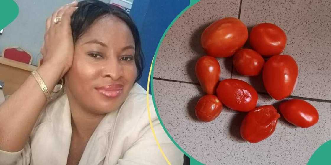 Lady displays tomatoes she bought for N1,500 Lady displays tomatoes she bought for N1,500