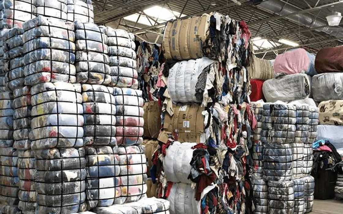 Diloli sun bayyana sirrin farin jinin dan tofi da rigar mama na gwanjo Diloli sun bayyana sirrin farin jinin dan tofi da rigar mama na gwanjo