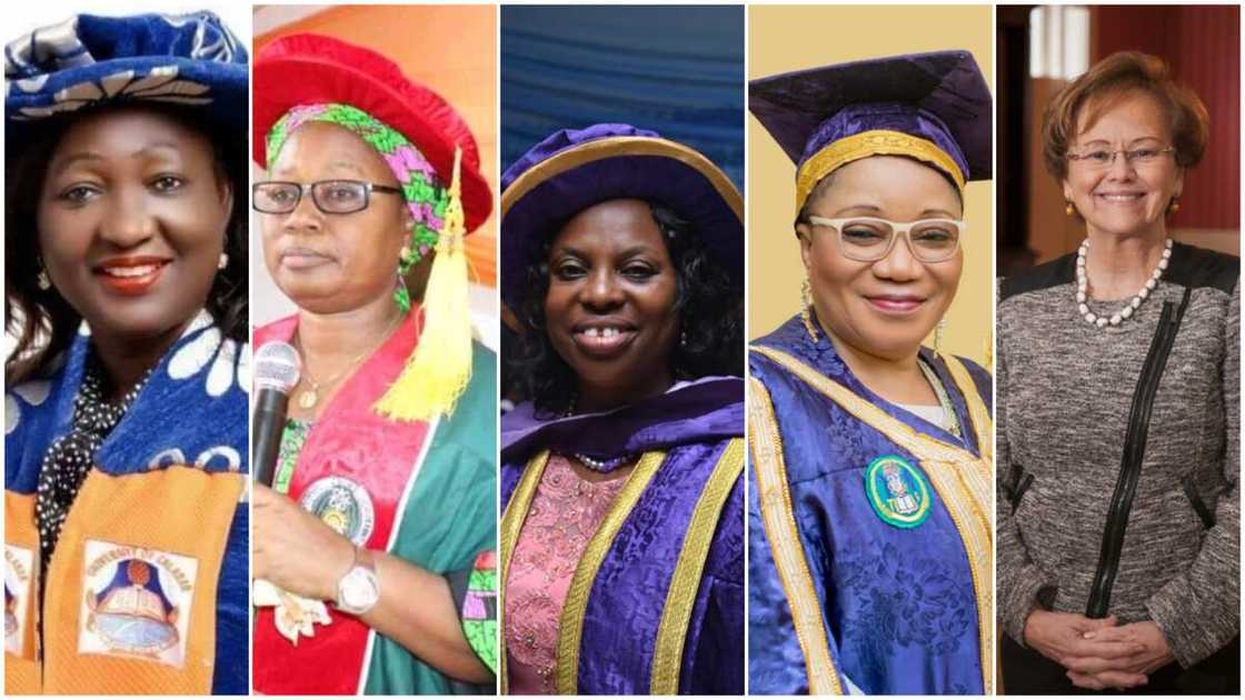 Out of 212 universities in Nigeria, there are only 11 female VCs - Report reveals