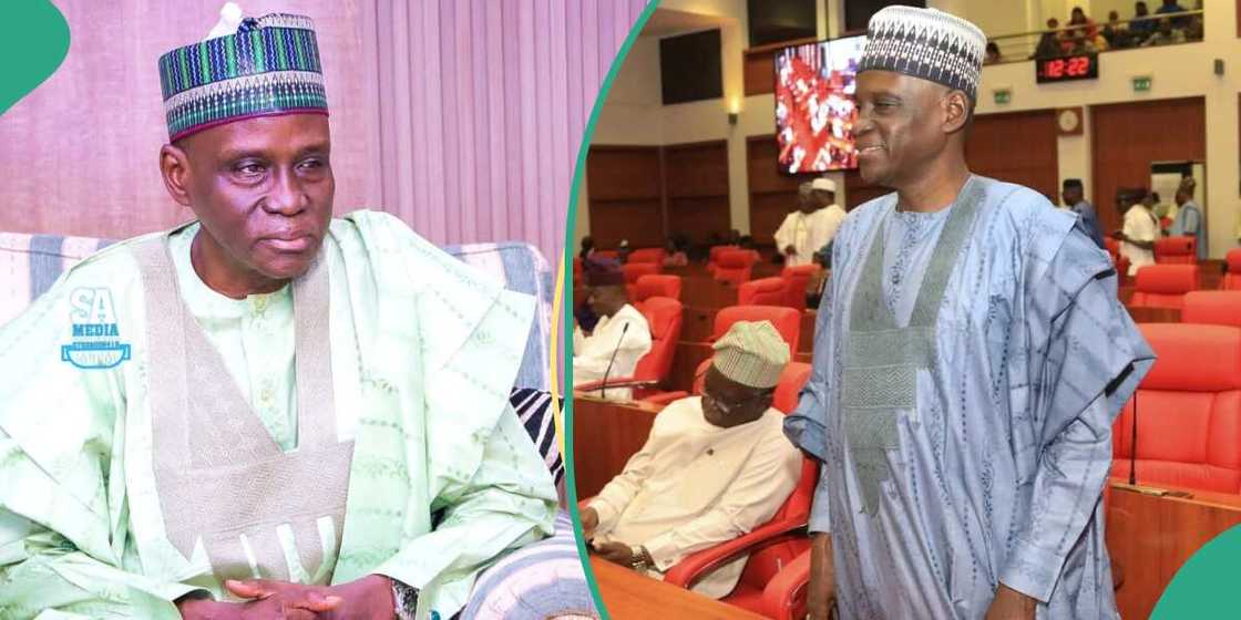 Borno senator Tahir Monguno explained why he dropped out of school to the senate