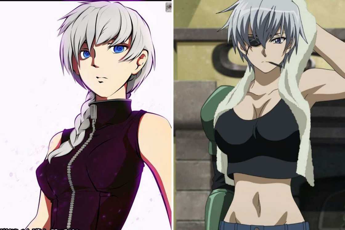 Silver-haired anime characters Silver-haired anime characters
